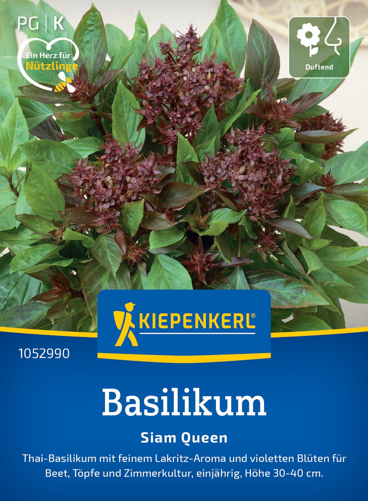 Basilikum * Siam Queen * MHD 01/28 Thaibasilikum Kiepenker Samen 1052990