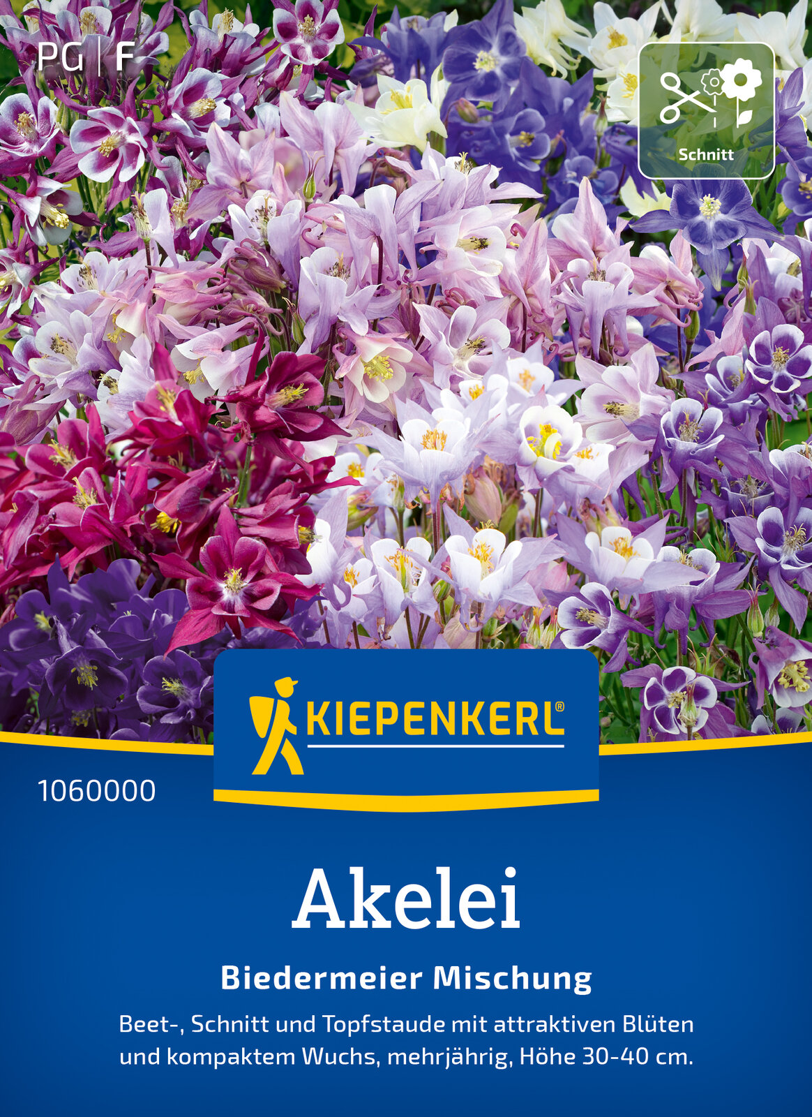 Akelei * Biedemeier - Mischung * MHD 01/29 mehrjährig Kiepenkerl Samen 1060000